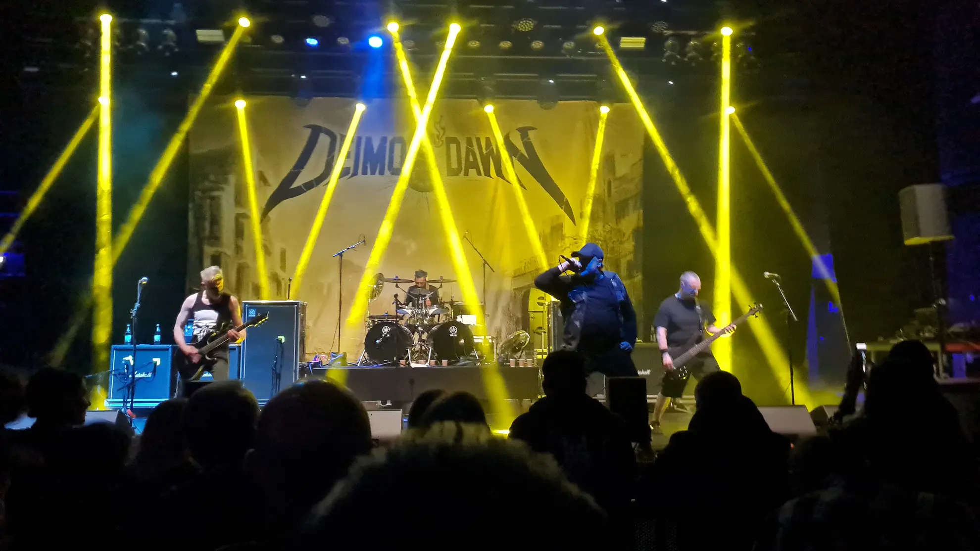 Live 13